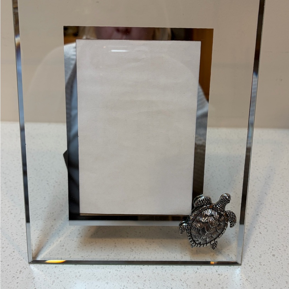 Silver color and  glassTurtle Accent Photo Frame